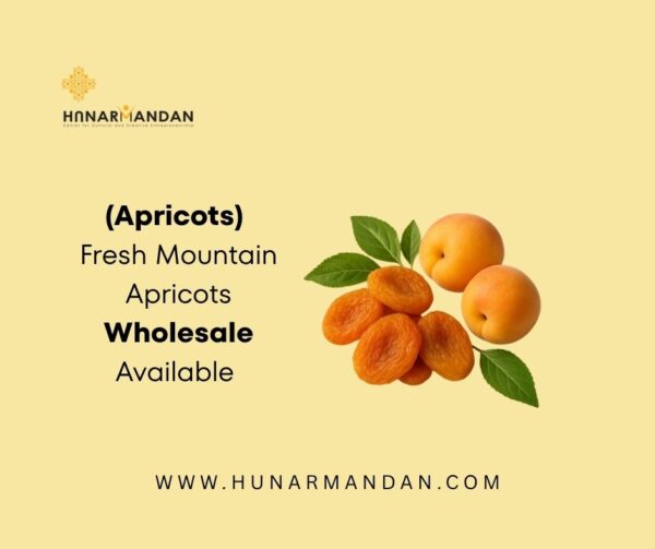 Fresh Mountain Apricots