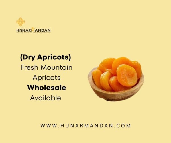 Fresh Mountain Dry Apricots